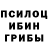 Псилоцибиновые грибы MAGIC MUSHROOMS Ediiison_PTS